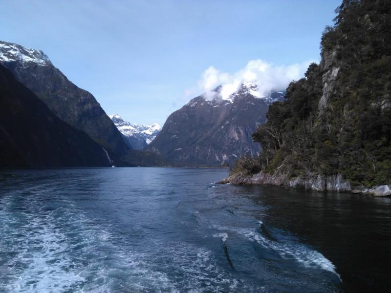 Milford Cruise