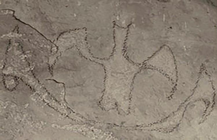Only drawing of a bat in New Zealand rock art