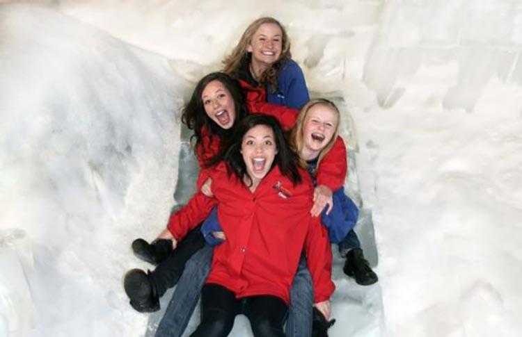 Christchurch's Antarctic centre playing in the snow