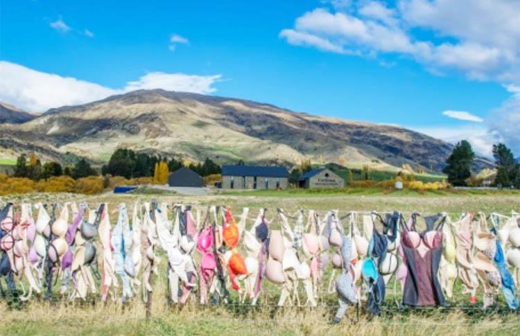 Wanaka Bra Fence