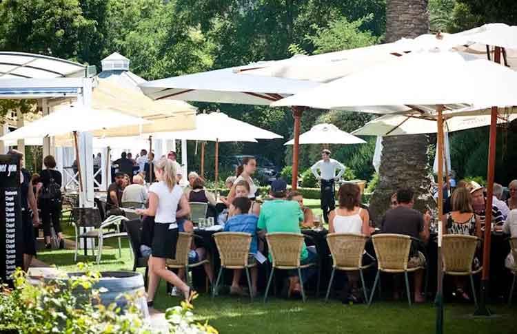 Mission Estate Winery