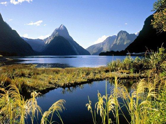 Milford Sound Self Drive