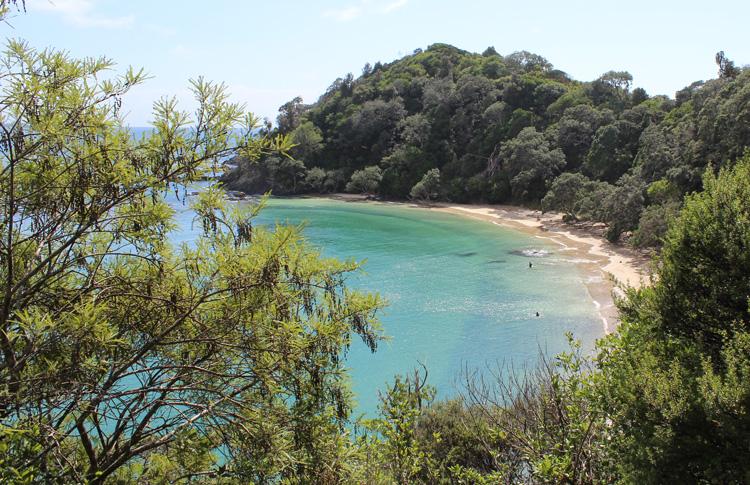 whale Bay