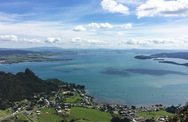 Whangarei heads