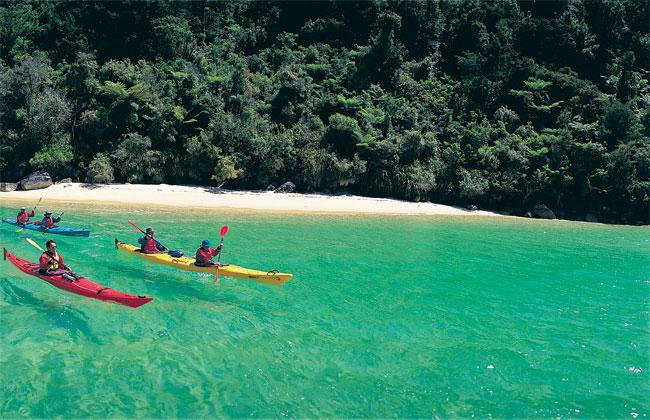 kayaking in the Marlborough Sounds