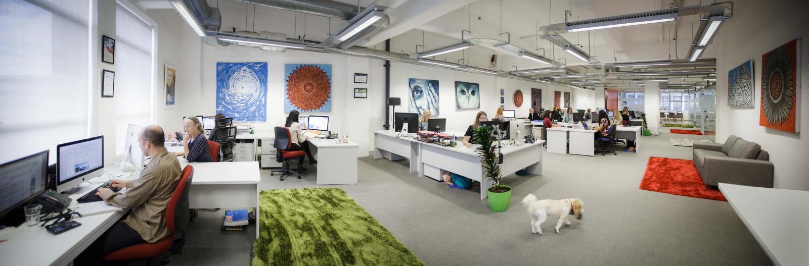 Internship opportunities at First Light Travel, New Zealand