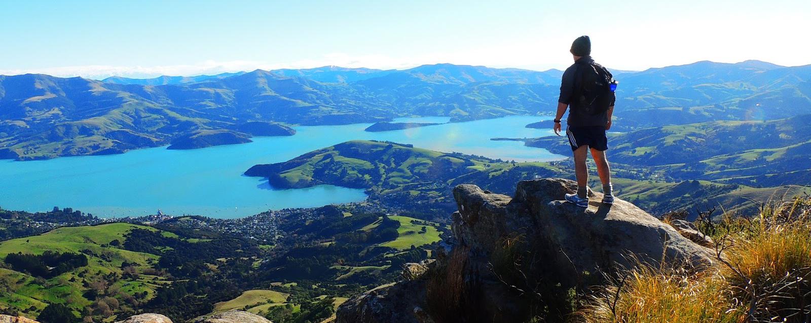 Having reached the summit of the Banks Peninsular Track, a hiker has an unobstructed view over Akaroa harbour.