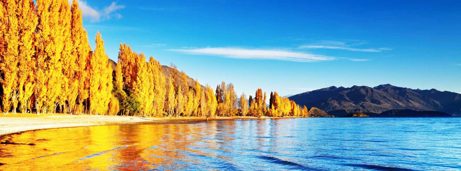 Central Otago Lakes