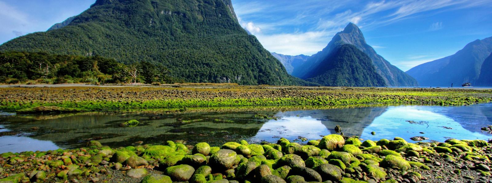 Vista in NZ