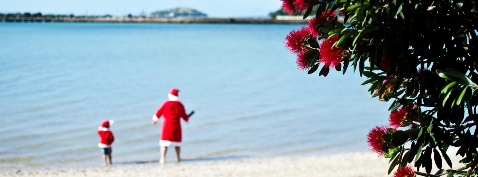 Christmas in New Zealand 