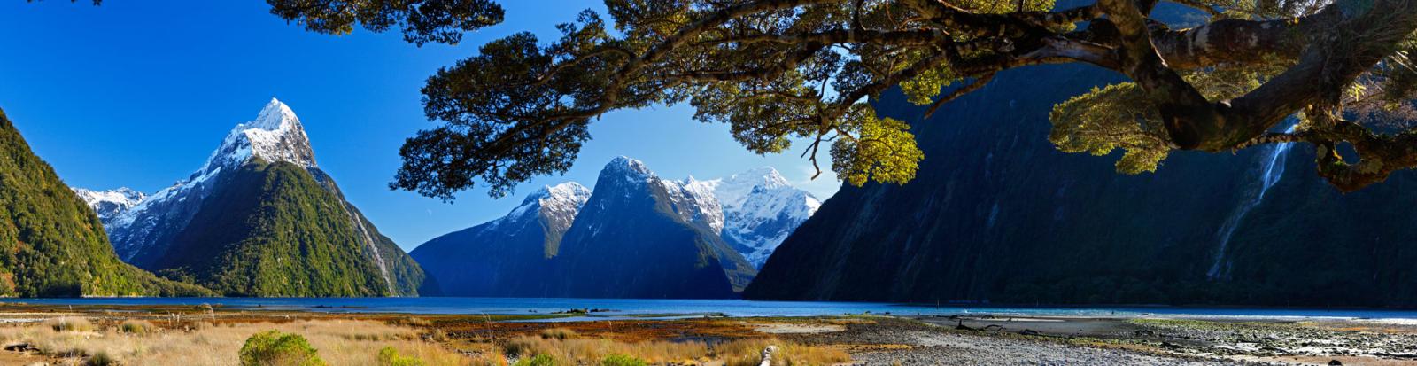 Milford in Fiordland