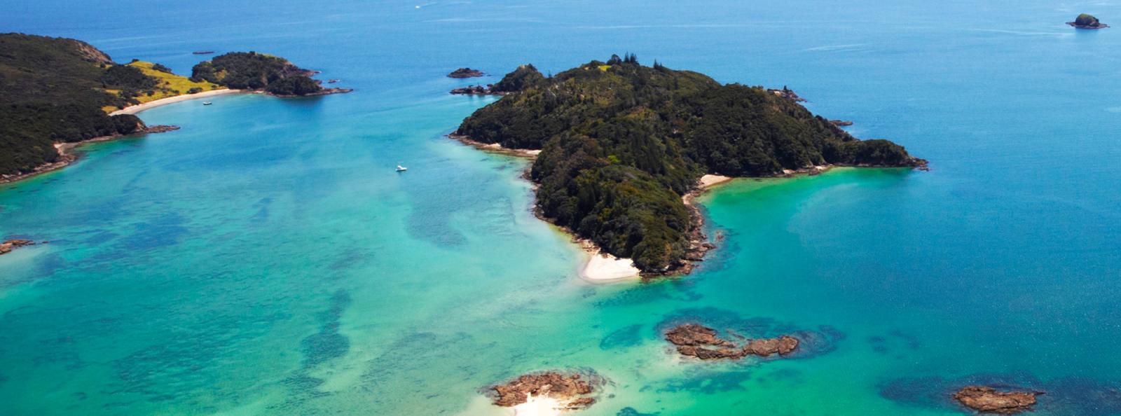 Motukiekie Island