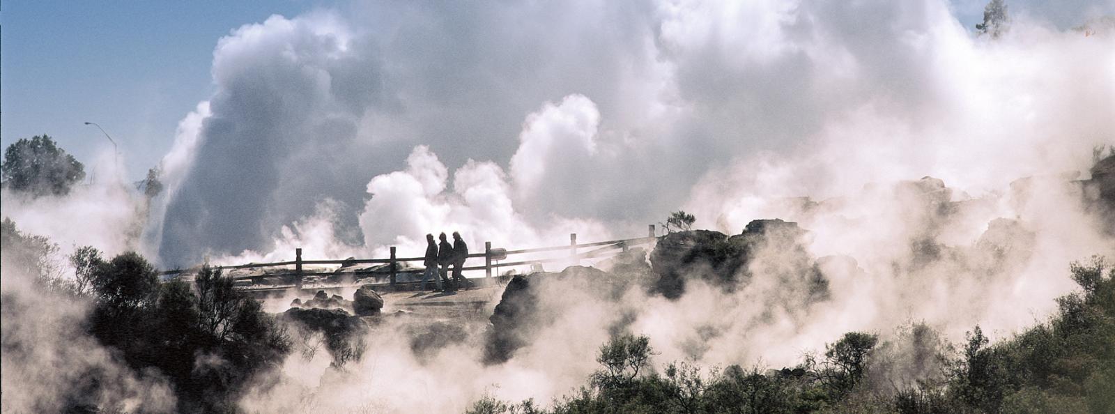 steaming Vents Rotorua