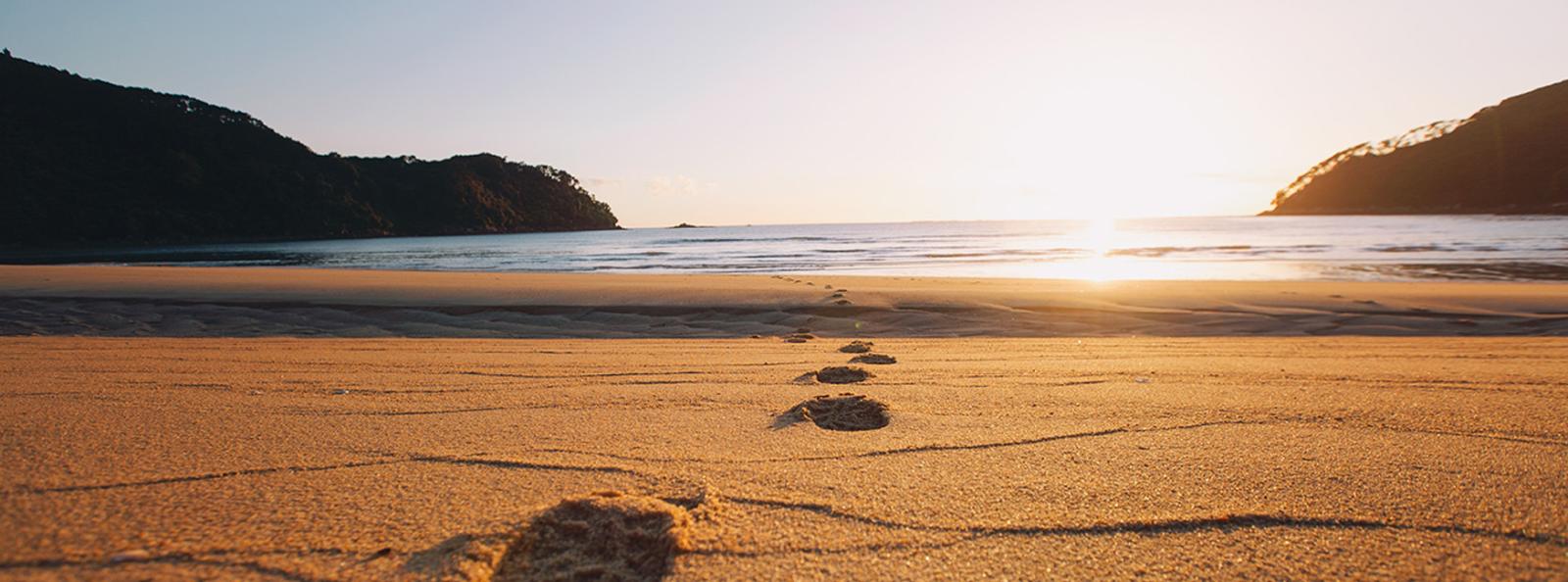 NZ Beach 