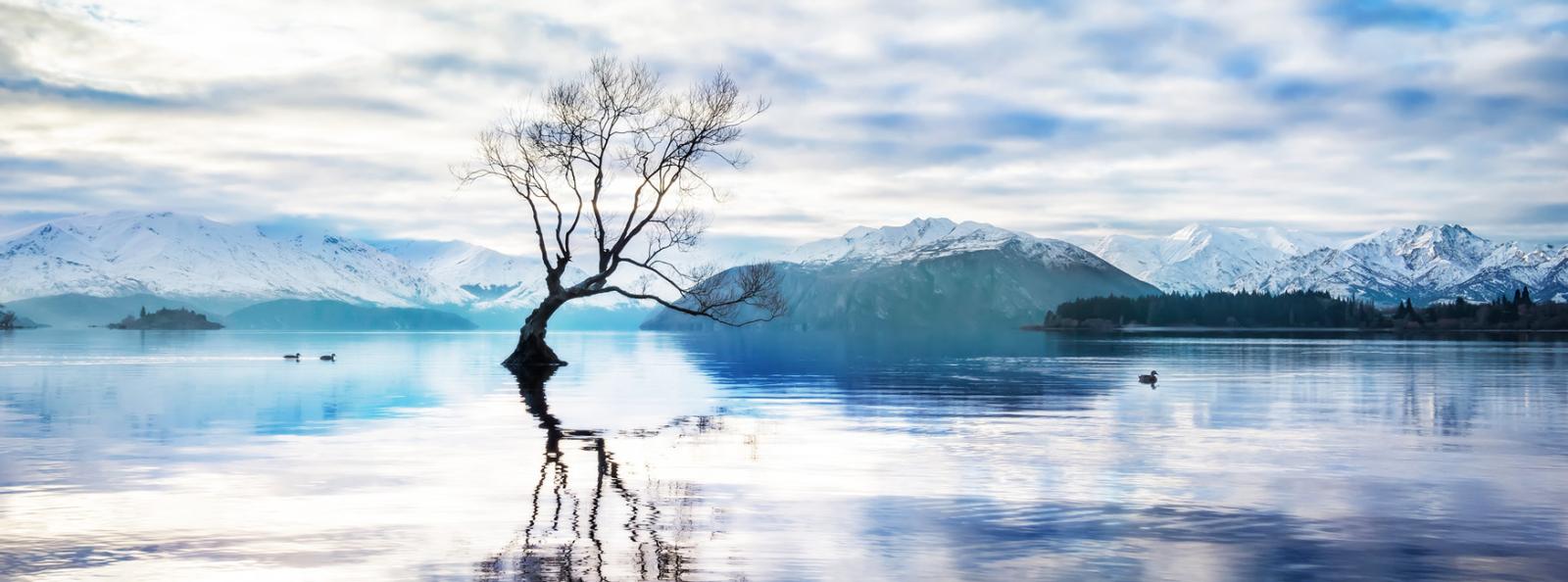 Lux New Zealand Ski Holiday