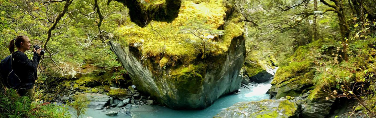 South Island Group Adventure Tours