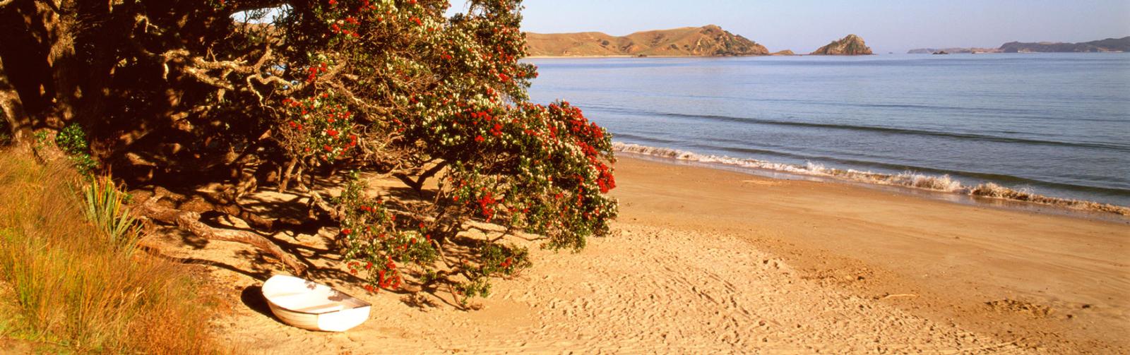 coromandel New Zealand