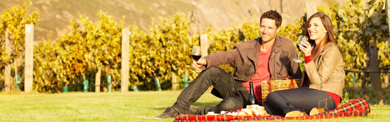 Central Otago Vinyards