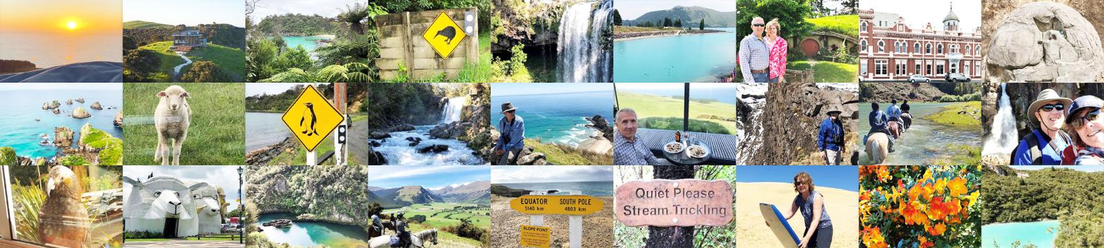New Zealand tour