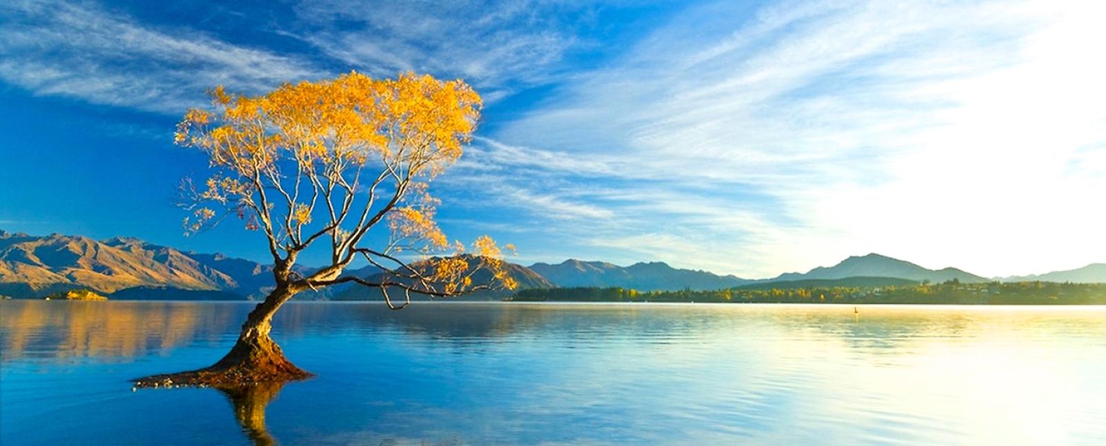 New Zealand Travel Packages