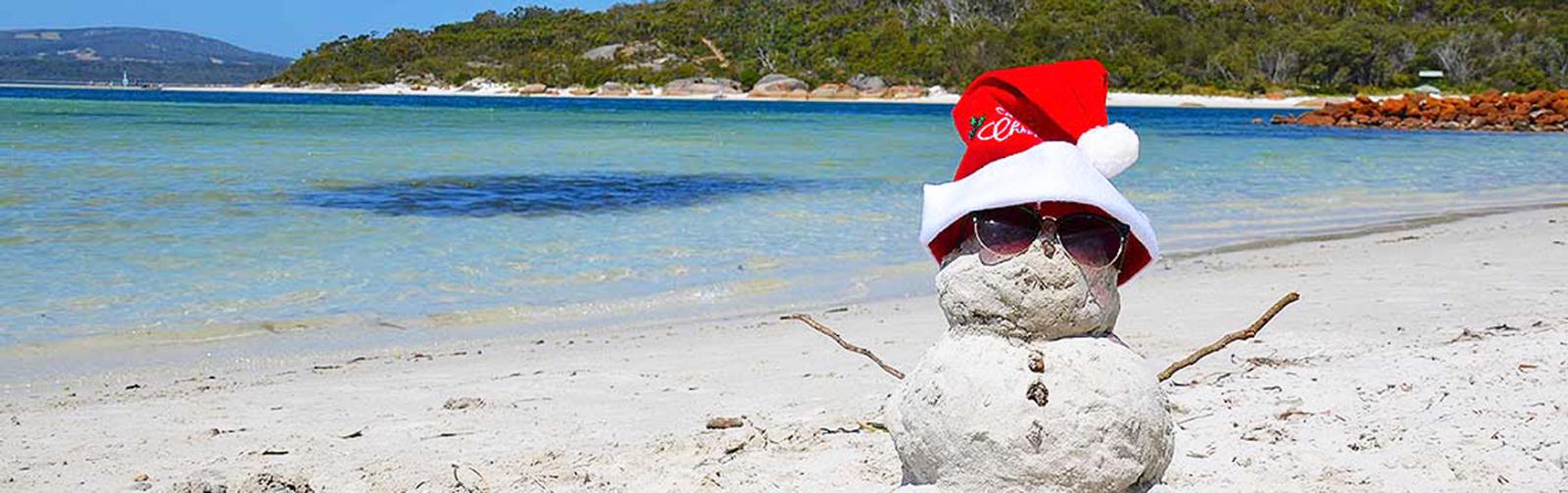 Grand Pacific Tours - 10 Day Signature South Island Christmas Tour