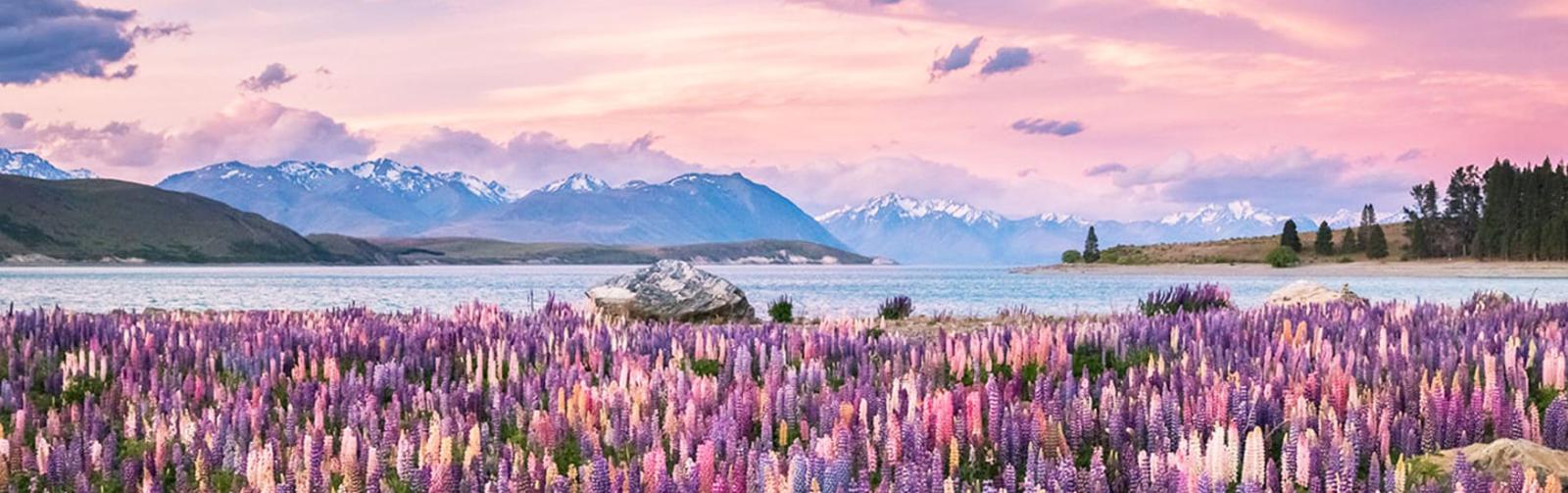 Grand Pacific Tours - 16 Day Signature Highlights Itinerary