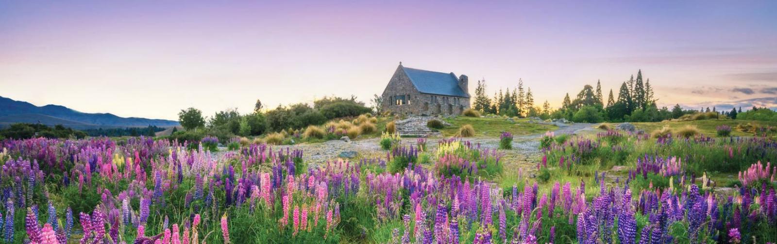 Three Week Best of New Zealand Luxury