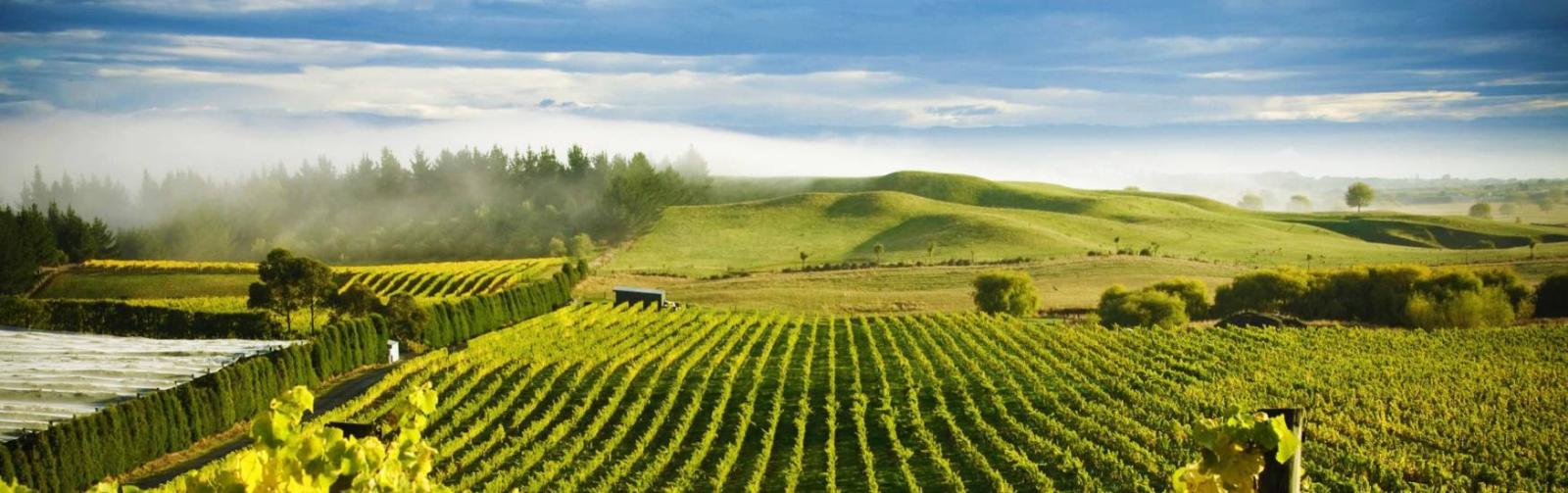 North Island Luxury Self Drive Tour Itinerary