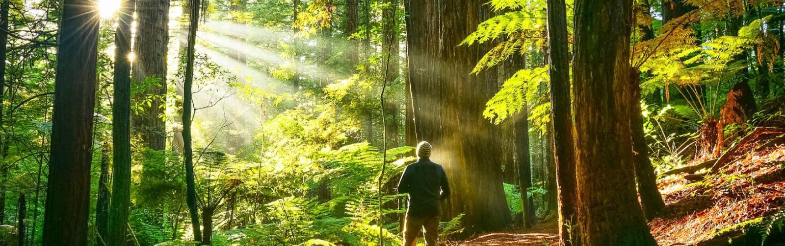 12 Day Must Do New Zealand Vacation Package