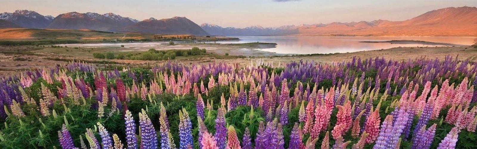Mackenzie Country