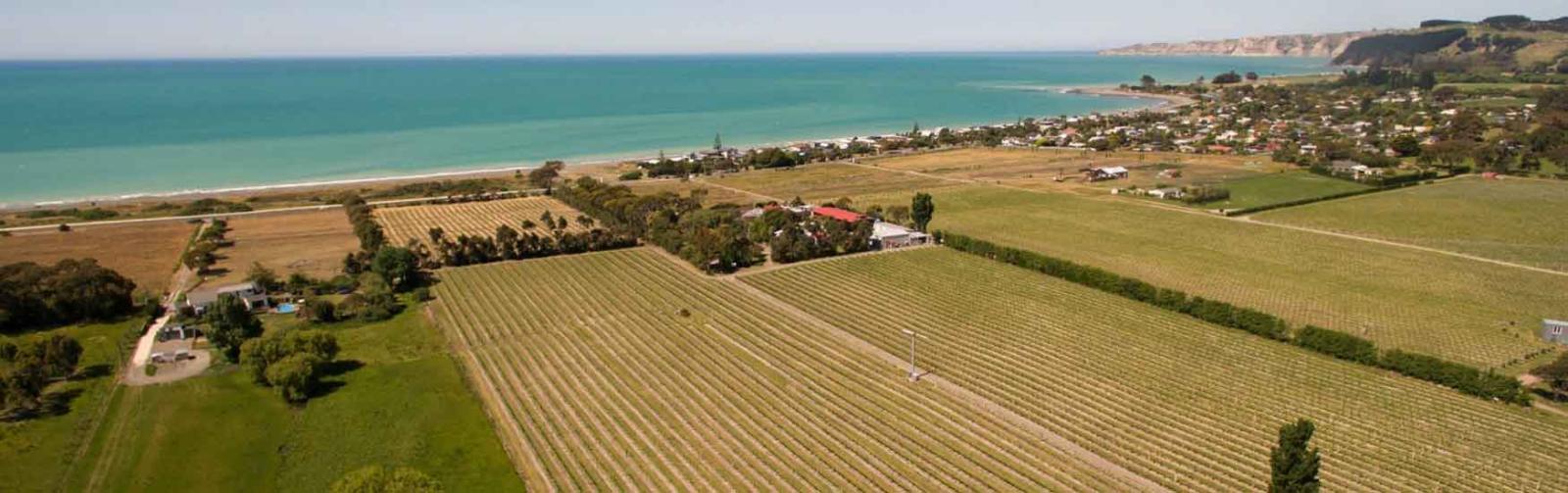 Clearview Estate Vineyard and Restaurant