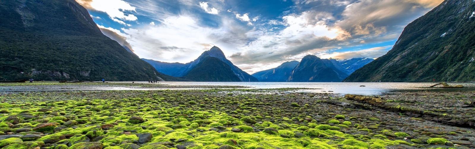 Scenic view of Milford Sound in New Zealand, featuring vibrant green moss-covered rocks in the foreground, calm reflective water in the middle, and dramatic mountain peaks under a partly cloudy sky in the background.