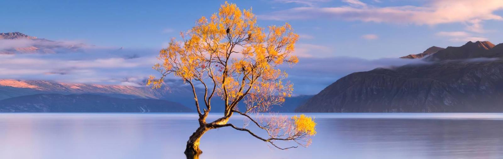 Lake Wanaka
