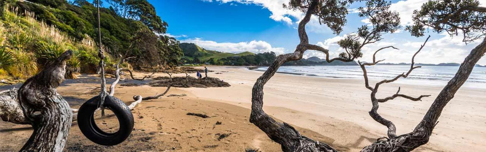 NZ coast