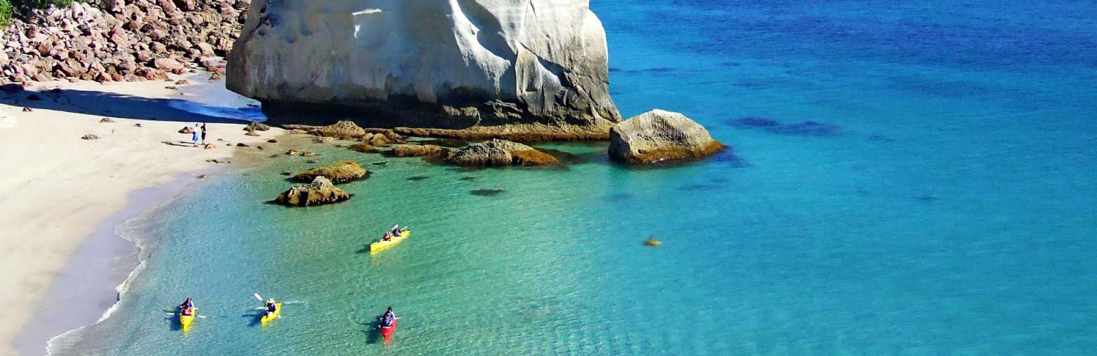 Coromandel Kayaking Adventure