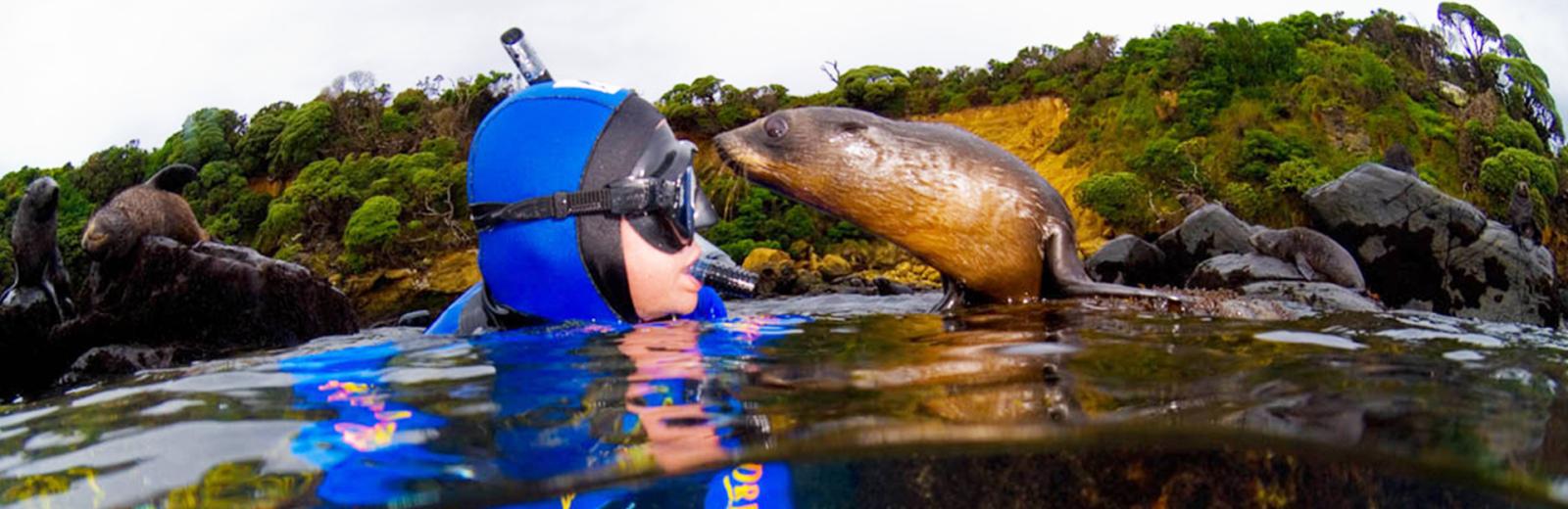 Diver with Seal
