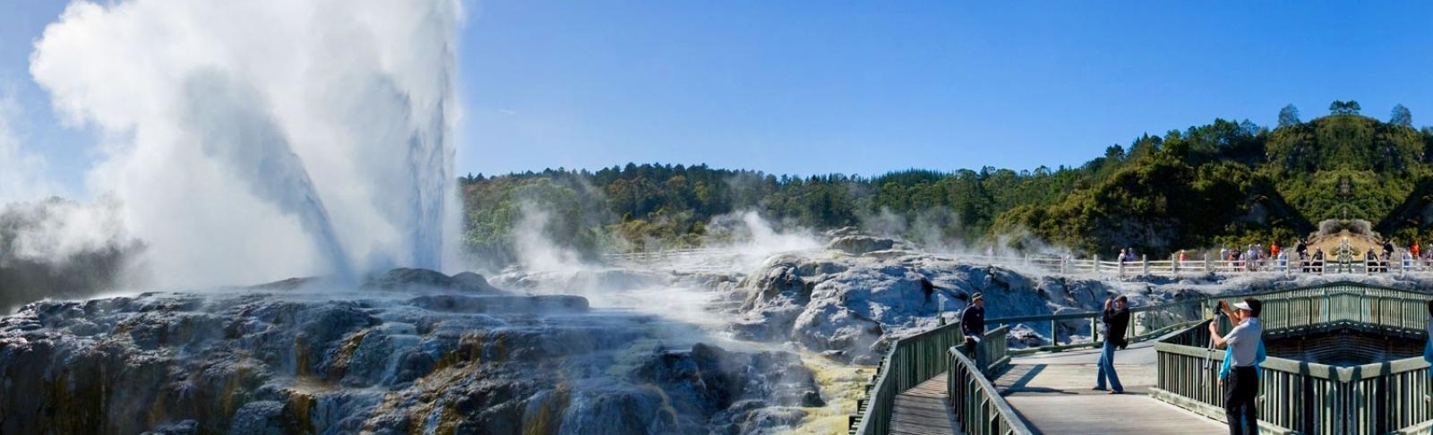 Lady Knox Geyser erupts on time in Rotorua. 