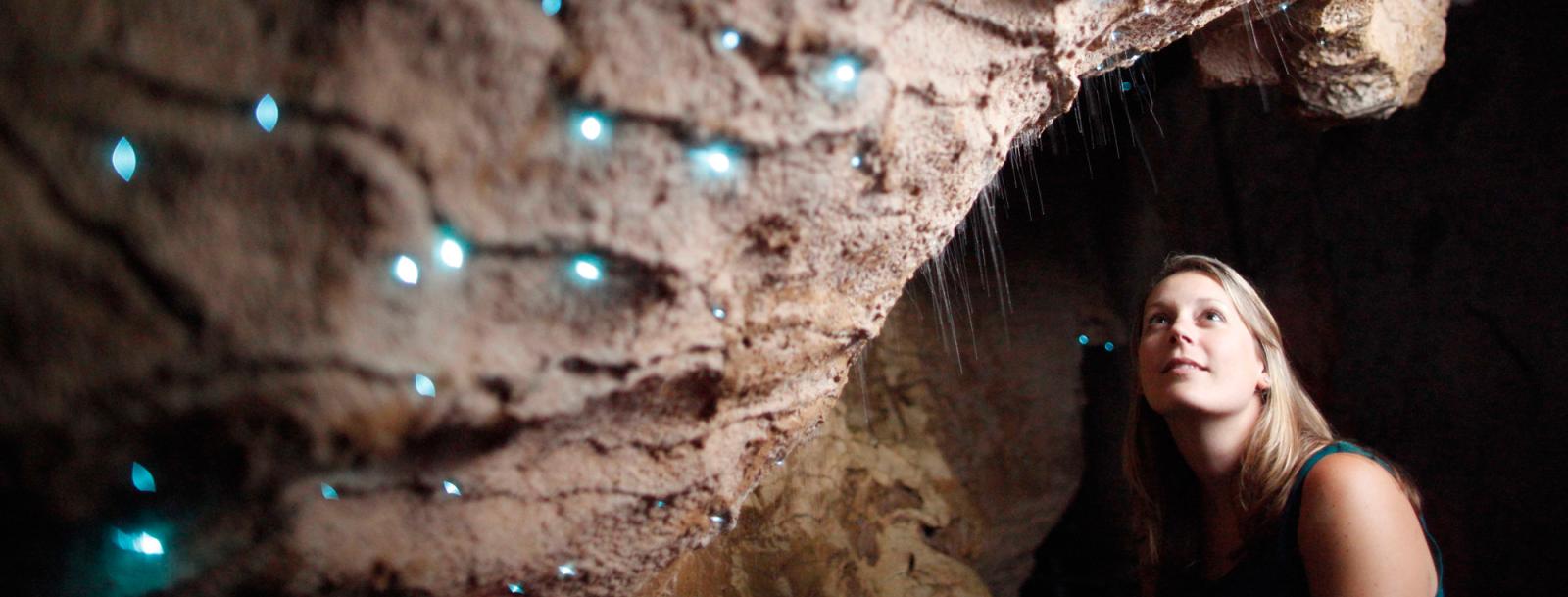 View of the glowing glowworms as found at Waitomo Caves.
