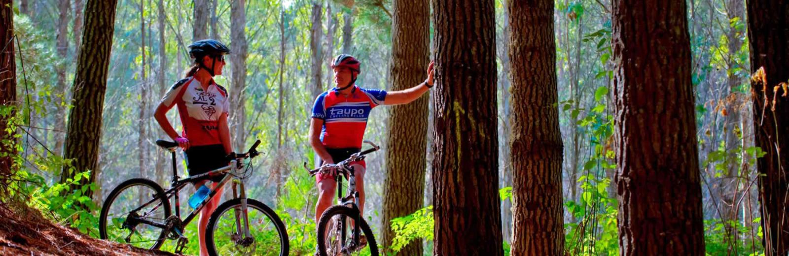 Great Lake Taupo Biking
