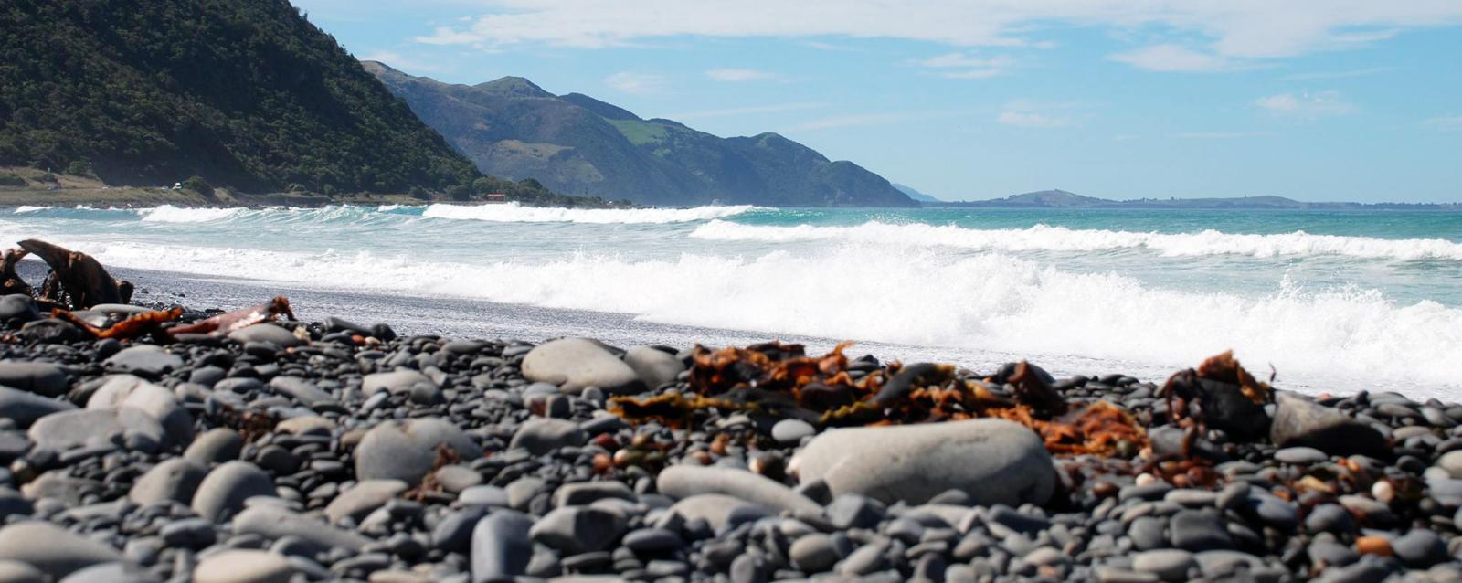 21 Day New Zealand Itineraries Kaikoura