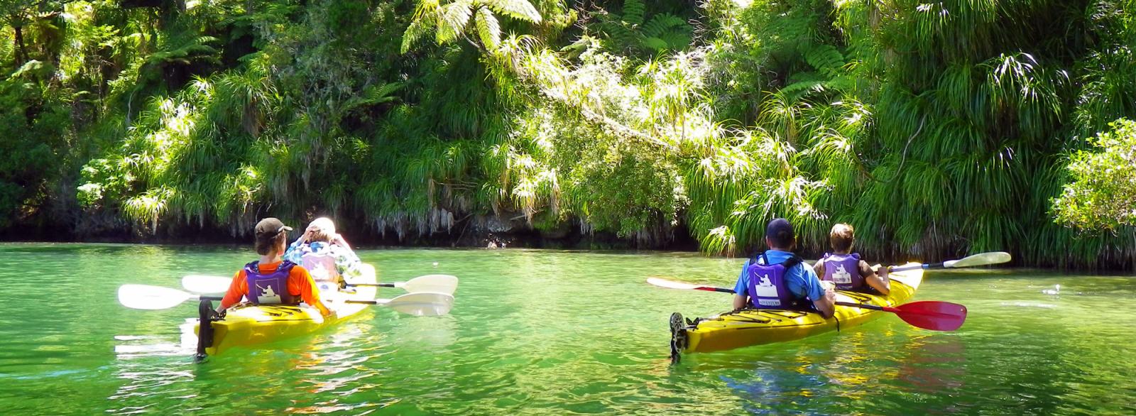 Two couples kayak around the tranquil waters of the Marlborough Sounds.