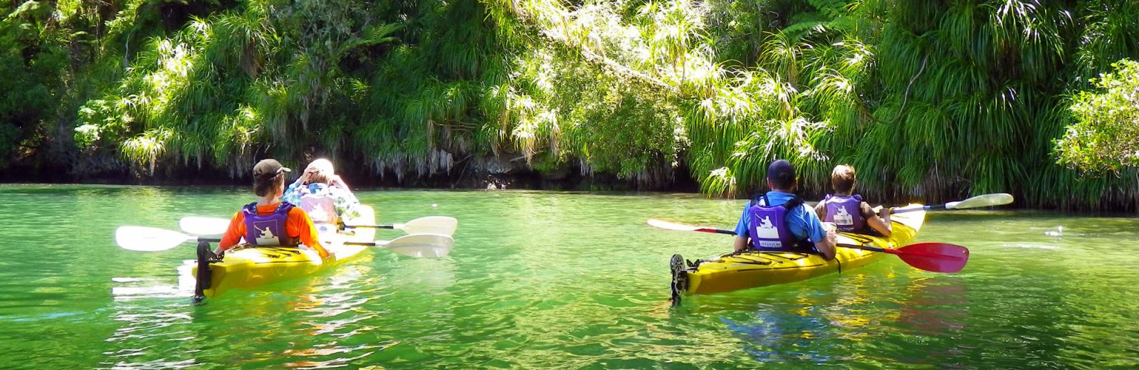 Sea Kayaking Marlborough Sounds