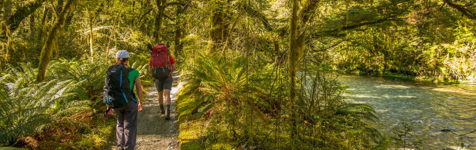 Following a quiet stream, walkers move ever deeprt into the Milford Track deep into Fiordland National Park.