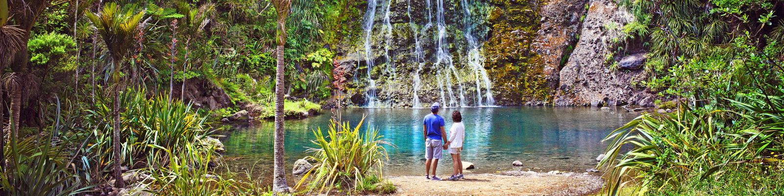 New Zealand Nature Tours