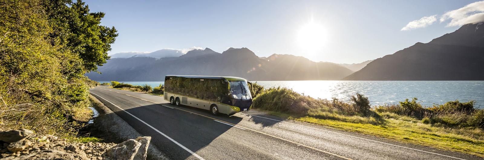 Travell in by modern coach into beautiful Fiordland National Park.
