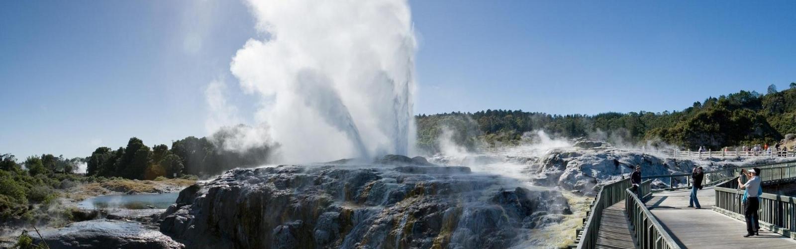 Group viewing the might of the Lady Knox Geyser.