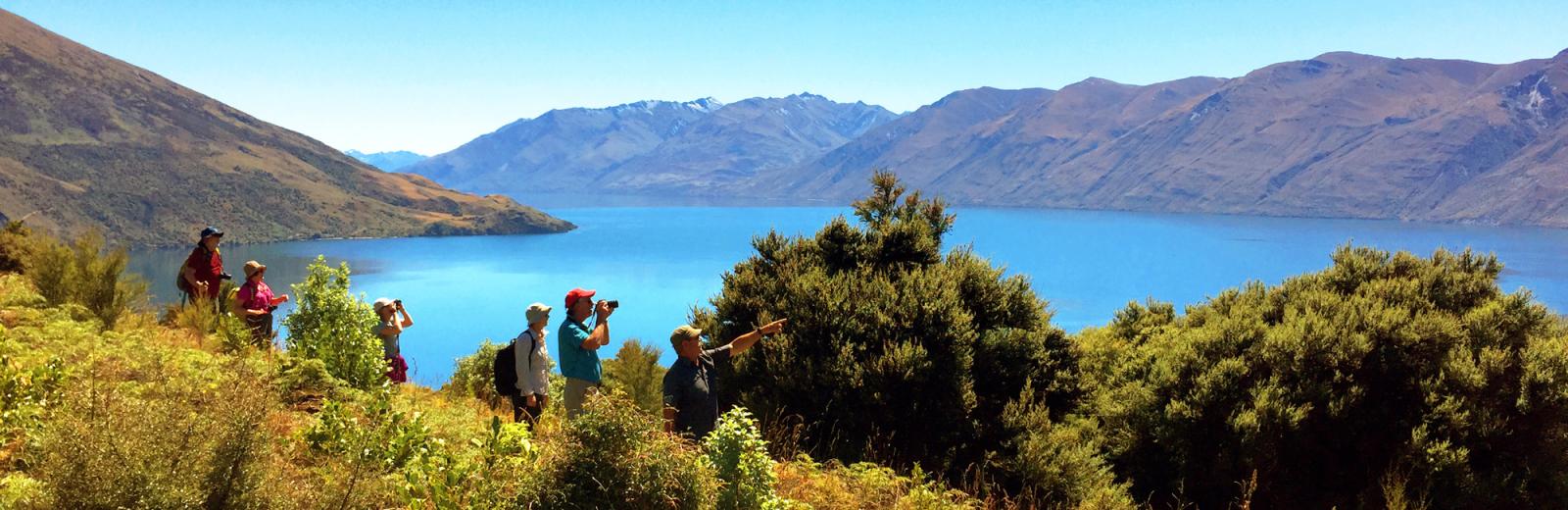 Wanaka Mou Waho