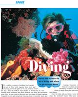 Travel Digest 