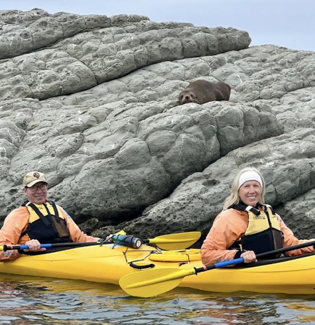 Kayak with seals Abel Tasman