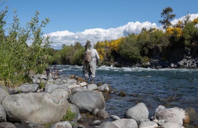 Tongariro River Fly Fishing